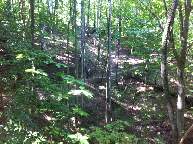 A person riding a mountain bike along a winding trail in a lush, green forest. The scene features tall trees with dense foliage and dappled sunlight filtering through the leaves, creating a serene outdoor atmosphere. Warrior Creek mountain bike trail.