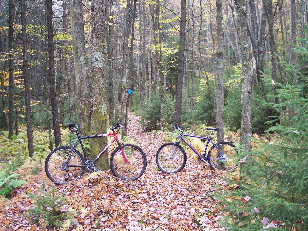 Two mountain bikes are parked on a leaf-covered trail in a dense forest. The scene features tall trees with hints of autumn foliage, creating a natural and serene atmosphere. A blue trail marker is visible in the background, indicating a designated biking path. Red Run Trail mountain bike trail.