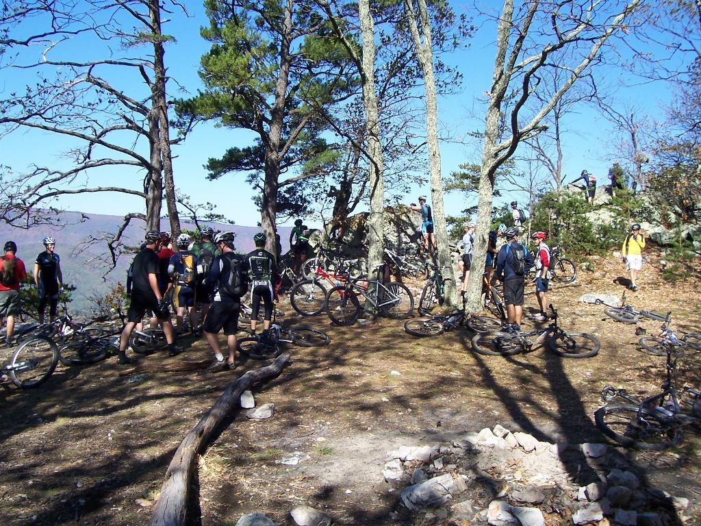 A group of mountain bikers gathered in a wooded area with trees and rocky outcrops. Some riders are standing beside their bikes, while others are exploring the surrounding terrain. The scene features a bright blue sky and various mountain biking gear. North Fork Mountain Trail mountain bike trail.