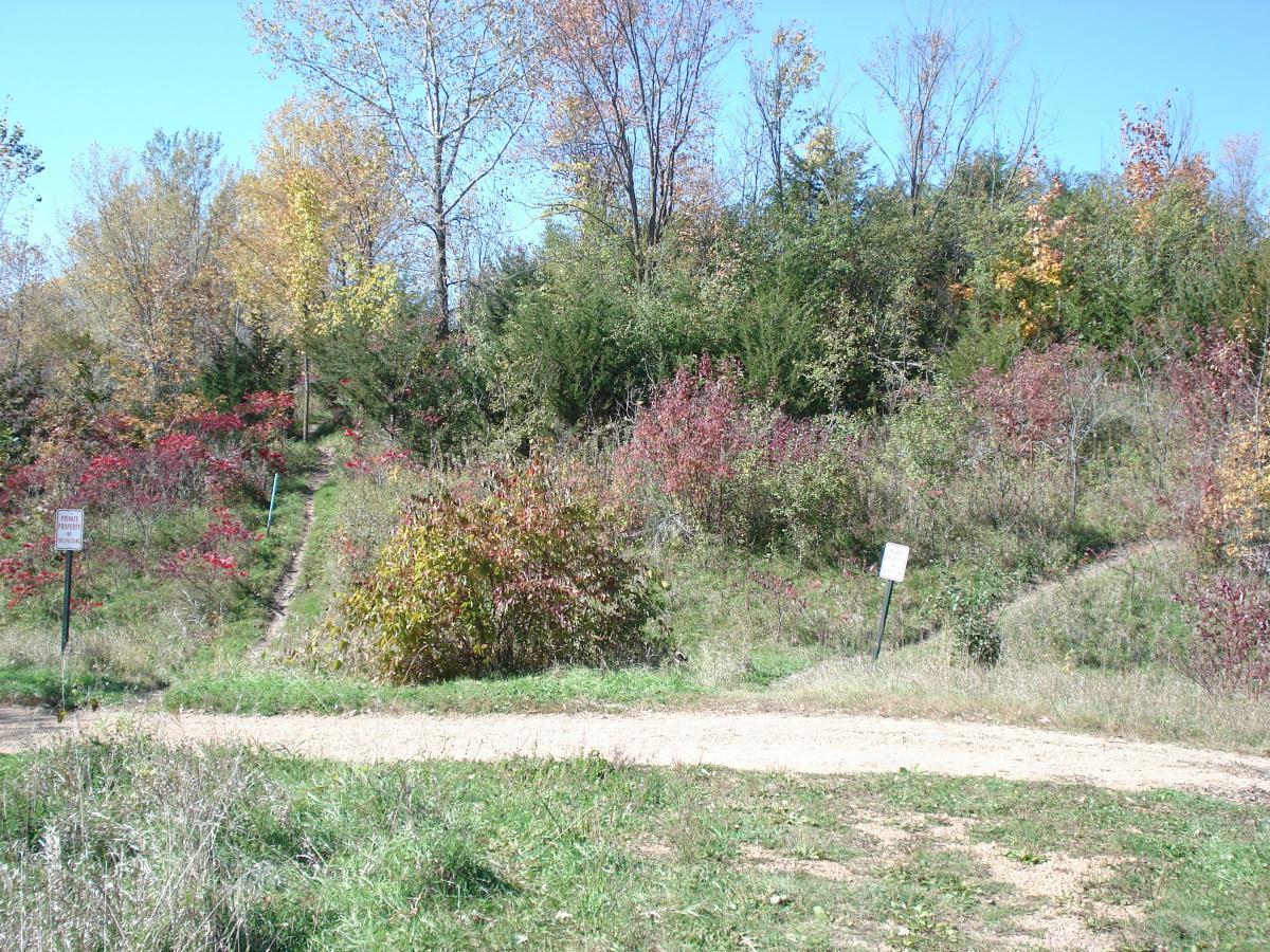 A scenic pathway through a forested area, featuring trees with autumn leaves in shades of yellow and orange, and vibrant red bushes. The path forks near a grassy area with gravel, indicating different trails. Two signs are visible, one marked "PRIVATE PROPERTY" and another with unclear text. The sky is clear with a few scattered clouds. Mammoth Trail mountain bike trail.