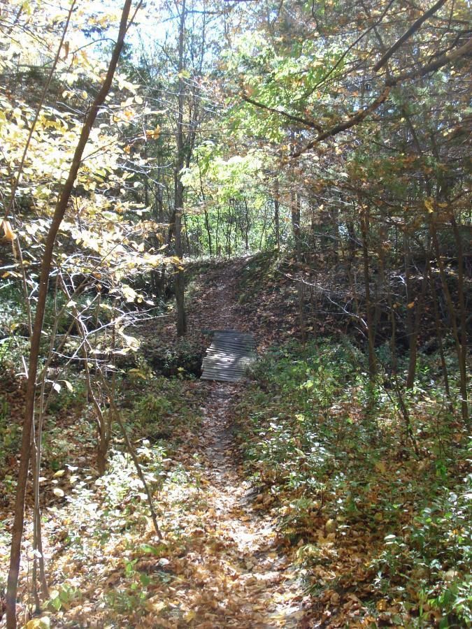 A sunlit forest path covered with fallen leaves, leading to a small wooden bridge over a dip. Surrounding trees display a mix of green and autumn colors, creating a tranquil, nature-filled scene. Mammoth Trail mountain bike trail.