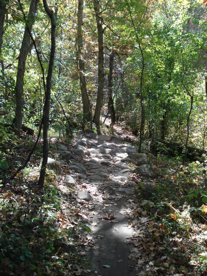 A winding dirt path through a forest, surrounded by lush green trees and scattered autumn leaves. The path is lined with smooth stones and is dappled with sunlight filtering through the canopy above. Murphy Hanrehan mountain bike trail.