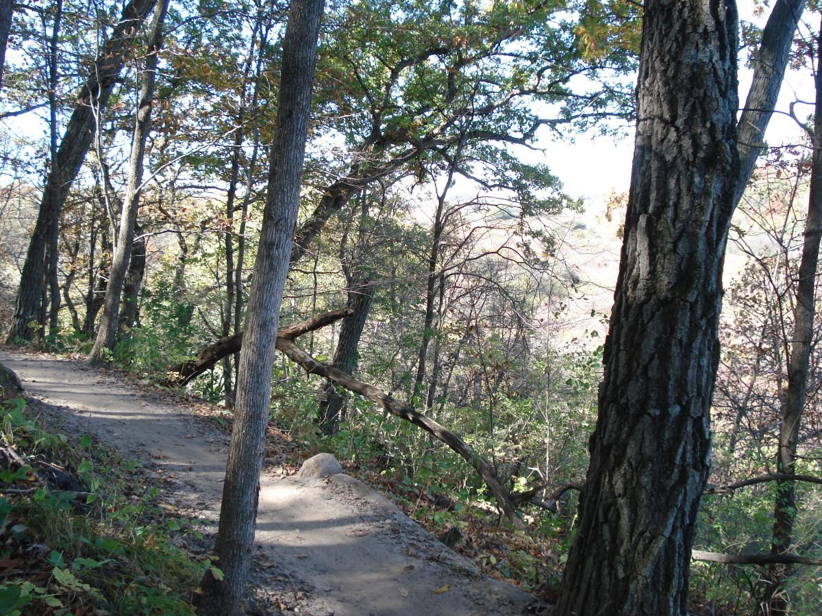 A winding dirt trail surrounded by trees in a lush forest, with sunlight filtering through the foliage and a scenic view of the landscape in the background. Murphy Hanrehan mountain bike trail.