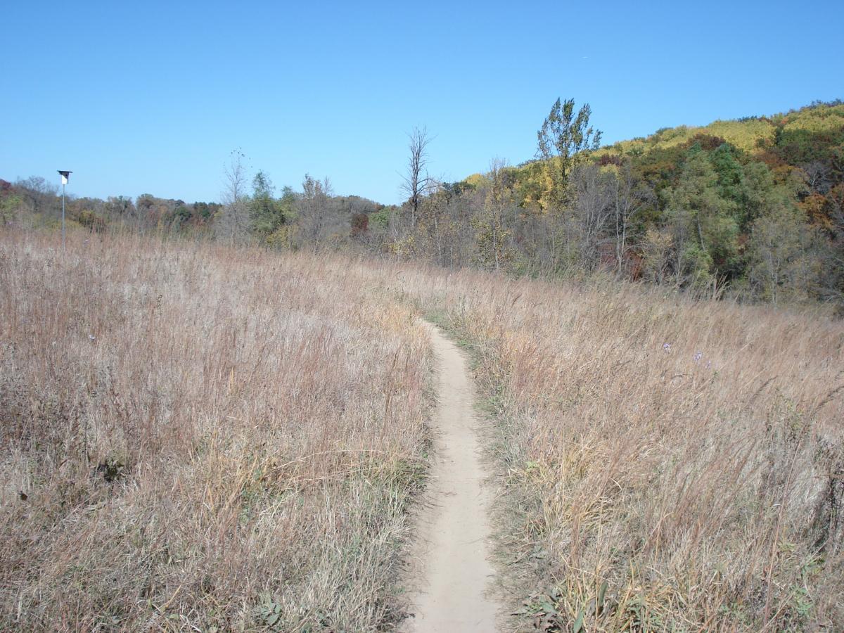 A dirt path winding through tall, dry grasses under a clear blue sky, with a hillside of trees in the background displaying autumn colors. A birdhouse is visible on a post to the left. Murphy Hanrehan mountain bike trail.