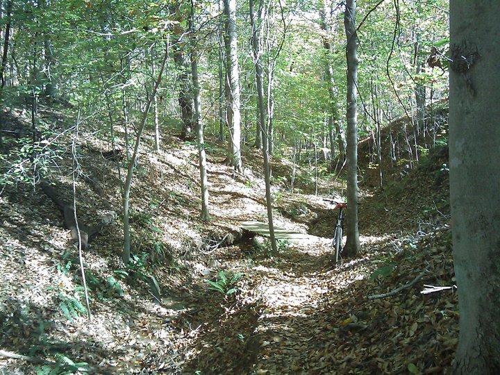 A wooded area featuring tall trees with green leaves, a forest path covered in dried leaves, and a small wooden bridge crossing a shallow ravine. Sunlight filters through the canopy, creating dappled light on the ground. A bicycle is partially visible on the right side of the path. Angler's Ridge mountain bike trail.