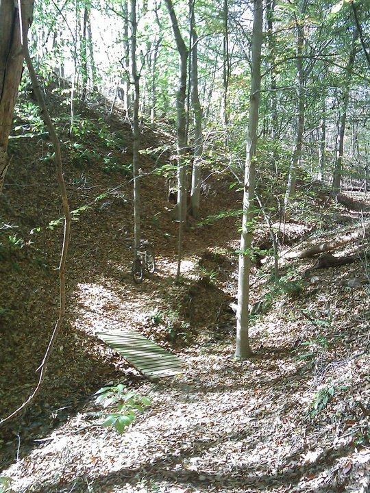 A serene wooded trail with sunlight filtering through the trees, featuring a small wooden bridge over a shallow ravine, surrounded by autumn leaves and greenery. A bicycle is casually placed nearby. Angler's Ridge mountain bike trail.