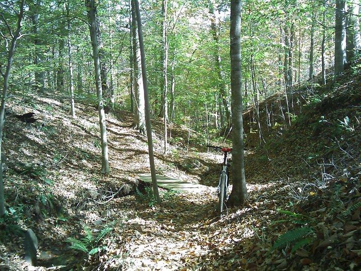 A wooded trail covered in fallen leaves, surrounded by green trees. A bicycle is leaning against one of the trees, with a wooden bridge crossing a small ditch in the path. Sunlight filters through the leaves, creating a dappled light effect on the ground. Angler's Ridge mountain bike trail.
