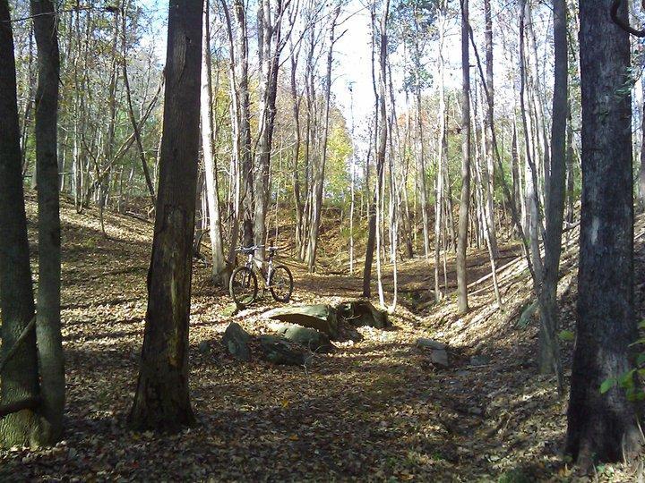 A mountain bike resting on a rock in a forested area with tall, bare trees and fallen leaves covering the ground. The scene captures a serene, natural landscape in autumn, with sunlight filtering through the trees. Angler's Ridge mountain bike trail.