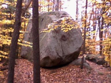 A large boulder surrounded by trees in an autumn forest with yellow leaves scattered on the ground. Fundy Trail mountain bike trail.