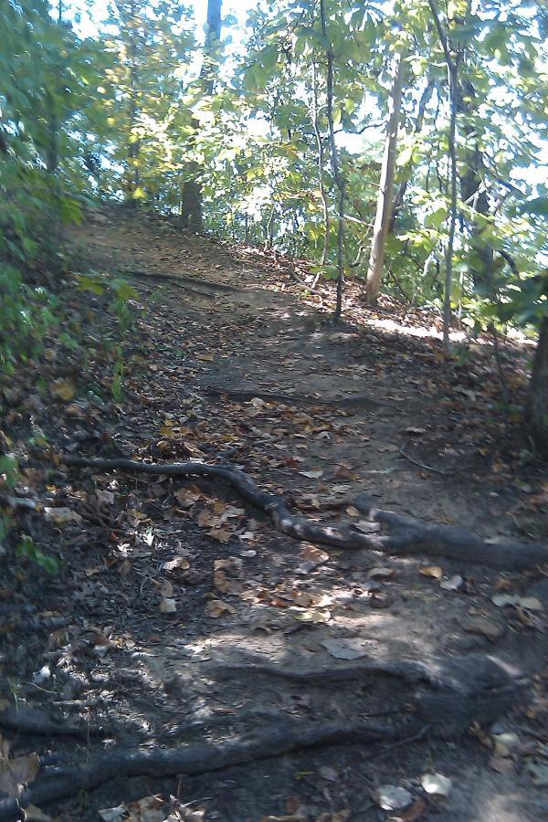 A narrow dirt path winding through a wooded area, surrounded by trees and fallen leaves. Sunlight filters through the foliage, creating dappled light on the ground. The trail shows signs of wear, with exposed tree roots along the edges. Research and Technology Park (ERC) mountain bike trail.