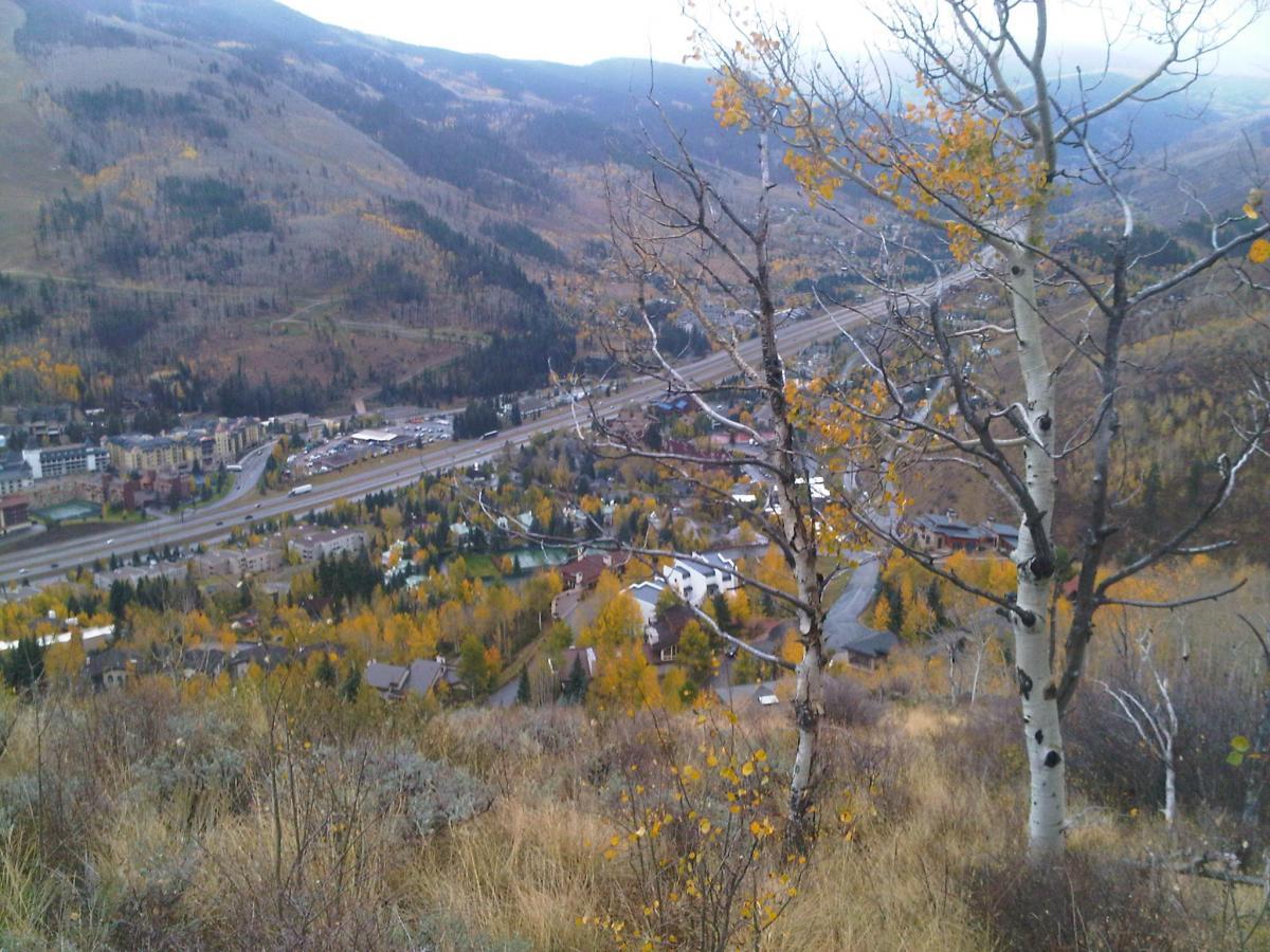 A scenic view of a valley with a roadway running through it, surrounded by hills and autumn foliage. In the foreground, bare aspen trees and shrubs are visible, while residential buildings and commercial areas are scattered throughout the valley. The mountains in the background showcase various shades of green and brown, indicating the transition of the seasons. Son Of Middle Creek mountain bike trail.