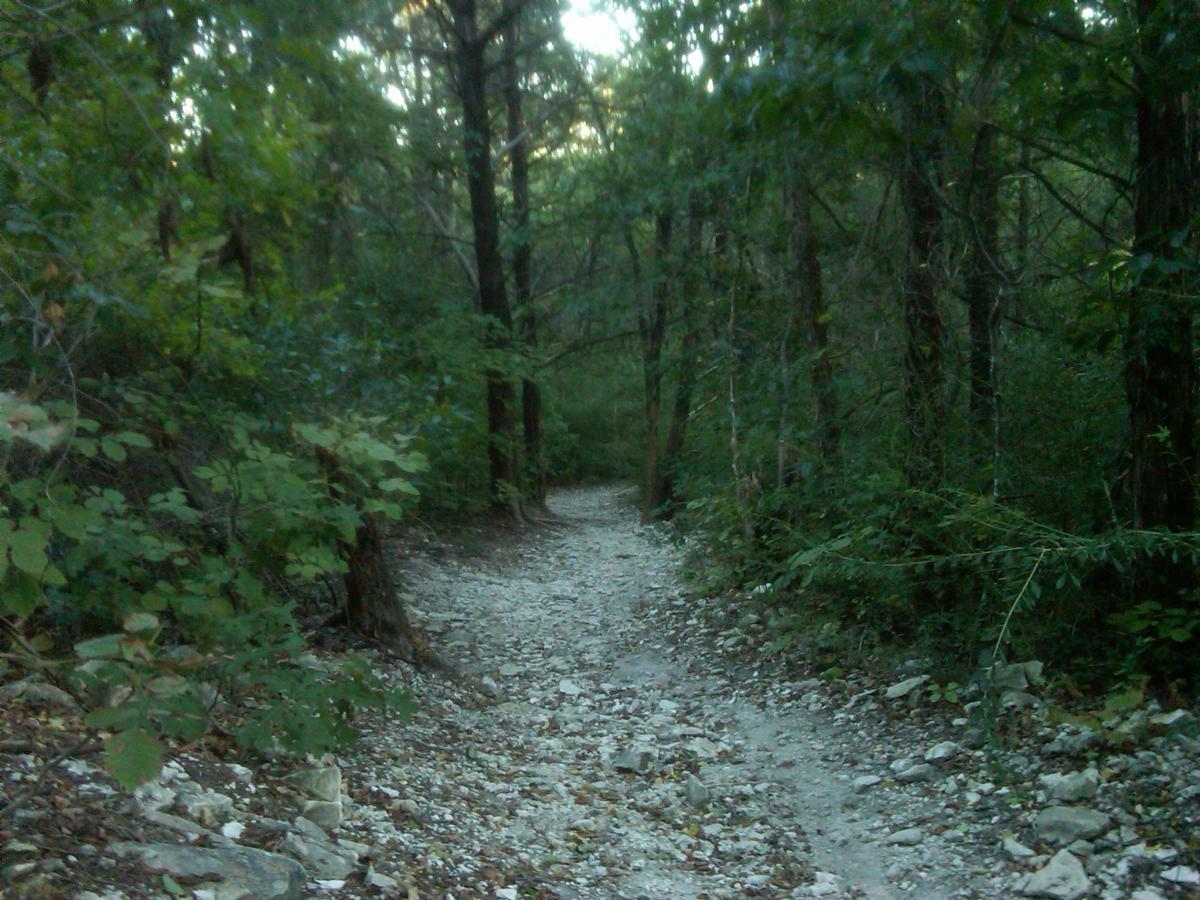 A narrow, rocky path winding through a dense green forest, surrounded by tall trees and various underbrush, with dappled sunlight filtering through the leaves. Boulder Park mountain bike trail.