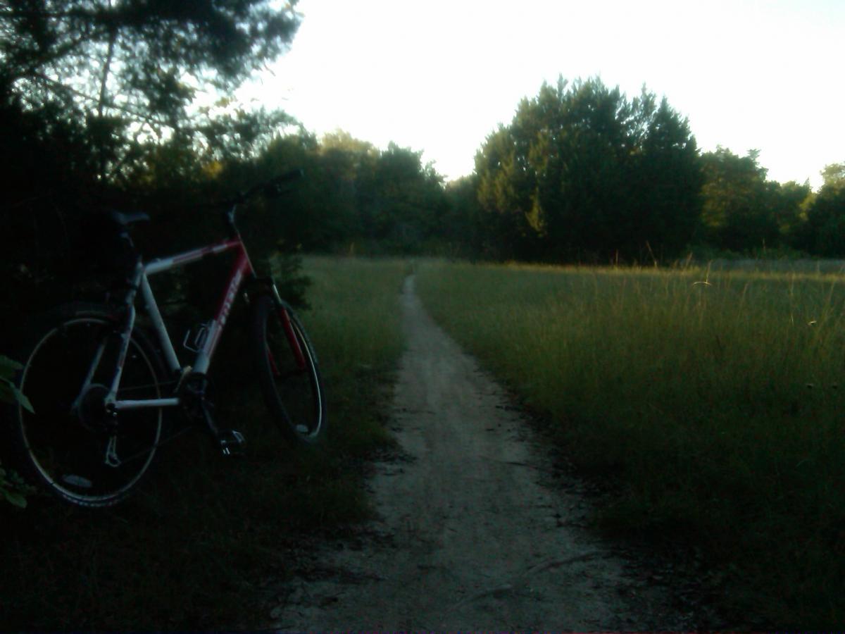 A mountain bike is parked beside a dirt path surrounded by tall grass and trees, illuminated by soft morning light. The path winds through a natural landscape, inviting exploration. Boulder Park mountain bike trail.