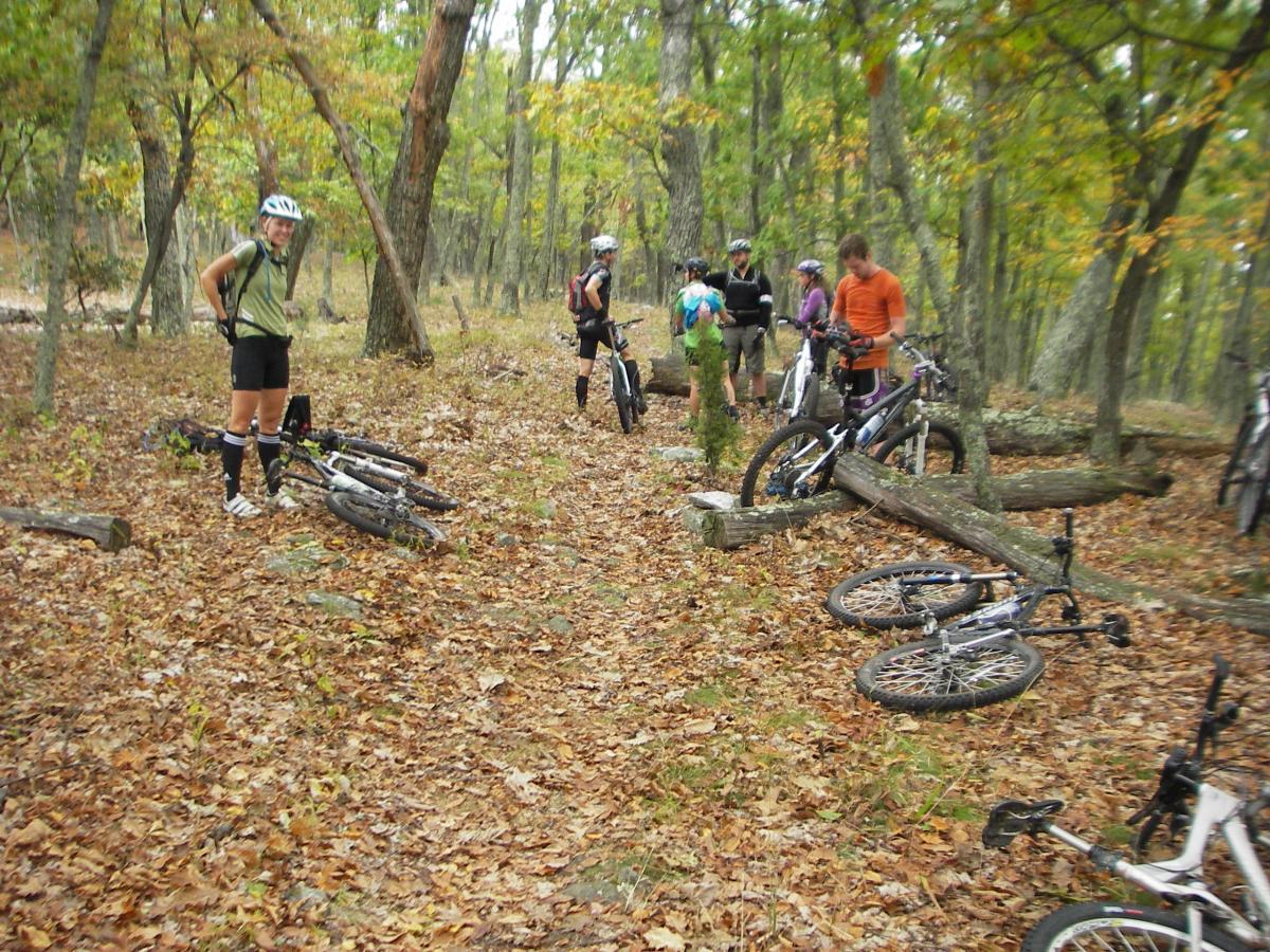 A group of mountain bikers gathered in a wooded area during the fall, surrounded by fallen leaves and trees. Some bikes are laid down on the ground while riders are chatting and preparing for their ride in the background. North Fork Mountain Trail mountain bike trail.