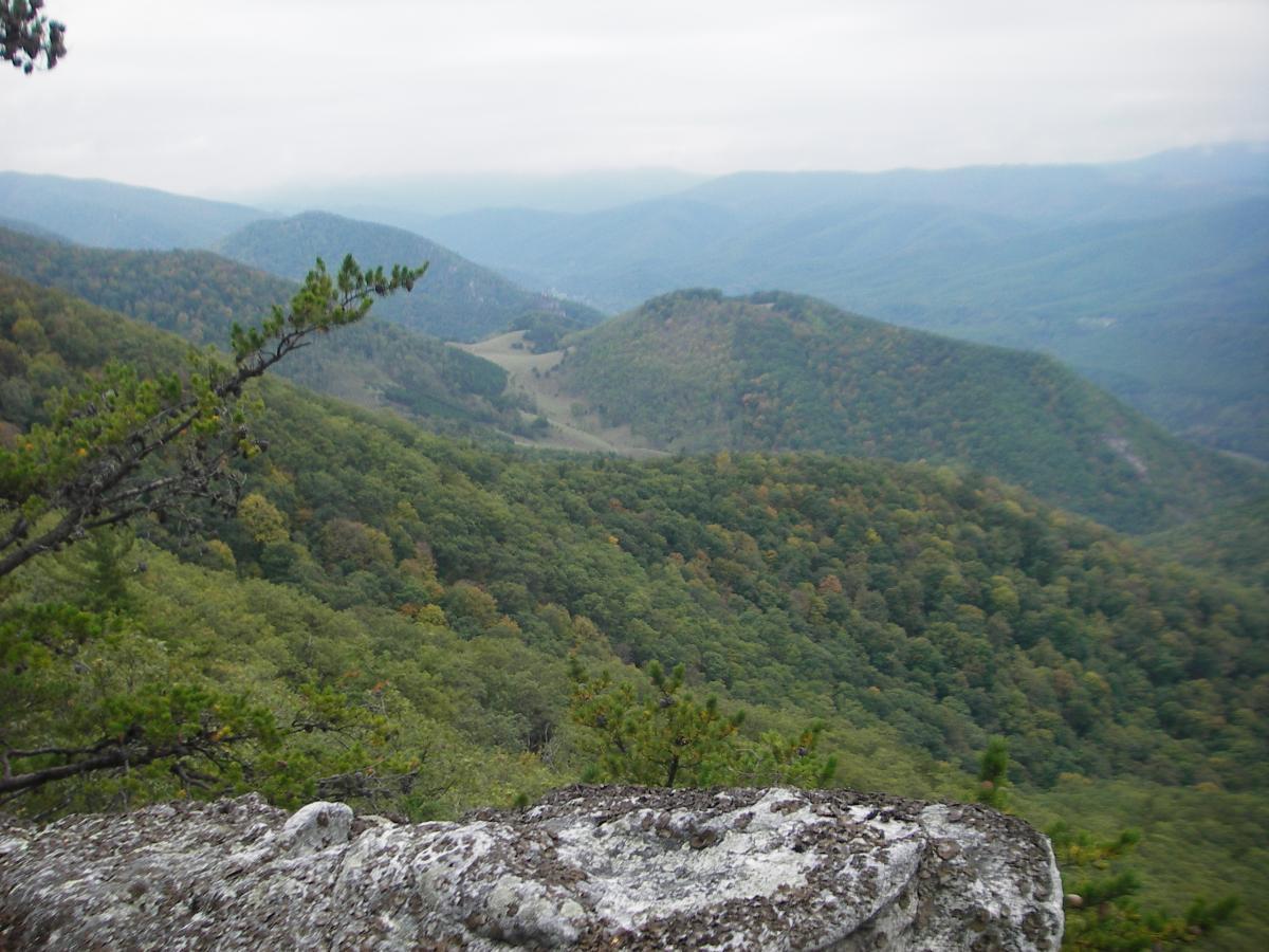 A panoramic view of rolling green hills and distant mountains under a cloudy sky, showcasing a lush forest with hints of fall colors. The foreground features rocky outcrops, while the landscape fades into the horizon, creating a serene natural scene. North Fork Mountain Trail mountain bike trail.