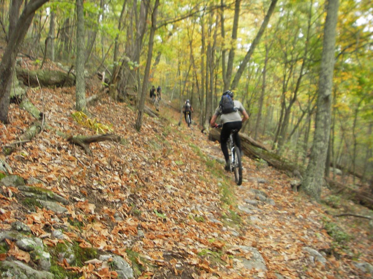 Mountain bikers navigating a rocky and leaf-covered trail in a forest during autumn. The scene features vibrant fall foliage and several cyclists riding through a wooded area, with trees surrounding the path. North Fork Mountain Trail mountain bike trail.