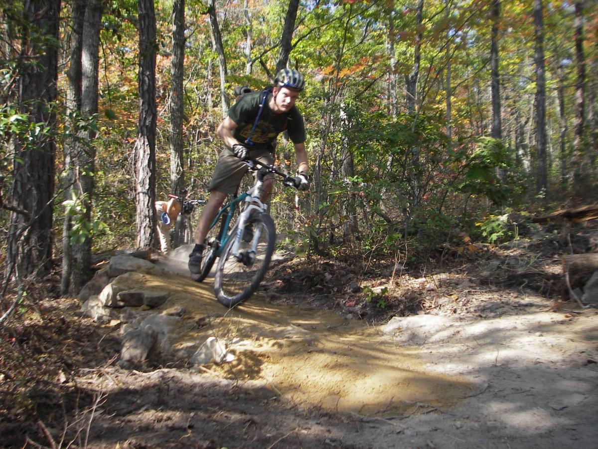 A cyclist riding a mountain bike along a dirt trail in a forested area, navigating over a rocky section. The scene captures the motion and excitement of mountain biking, surrounded by lush trees and autumn foliage. Wolf Ridge Trail mountain bike trail.