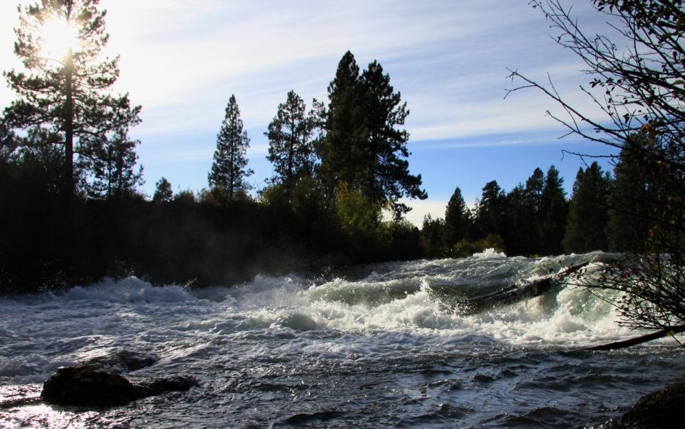 A scenic view of a turbulent river flowing through a forested area, with sunlight filtering through the trees. The water appears frothy and fast-moving, surrounded by tall pine trees and a clear blue sky. Deschutes River mountain bike trail.
