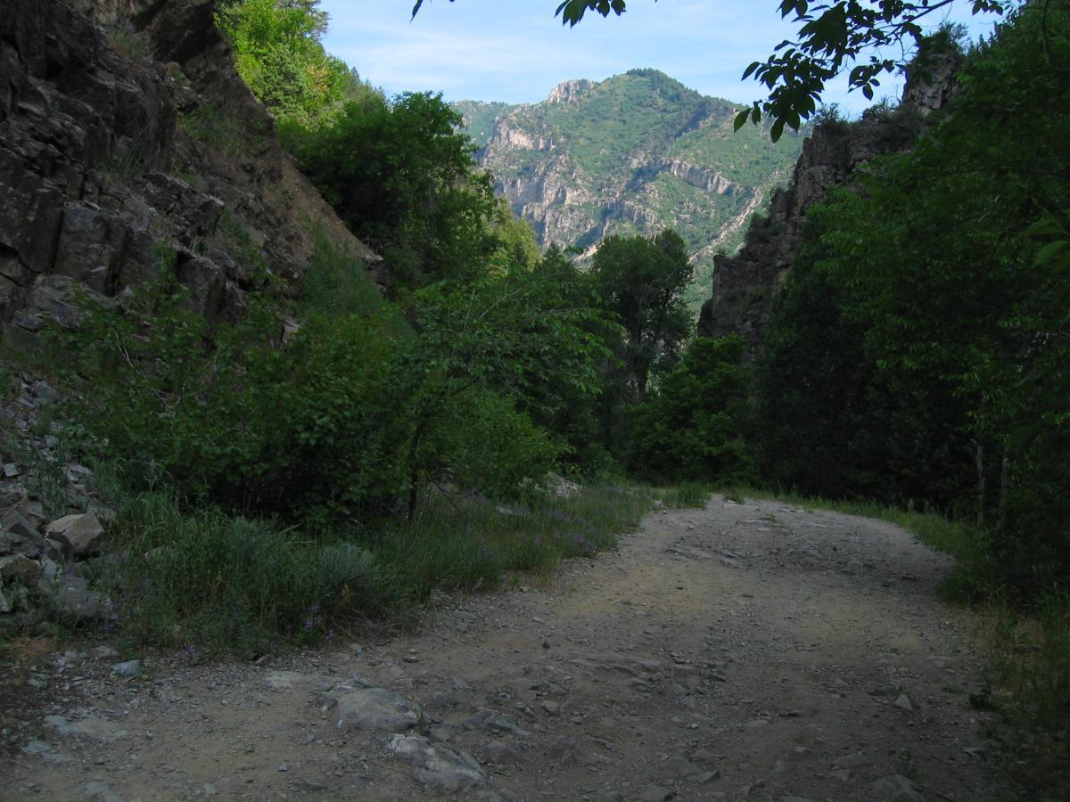 A dirt path winding through a lush, green valley surrounded by rocky cliffs and distant mountains under a clear blue sky. Wheeler Creek mountain bike trail.