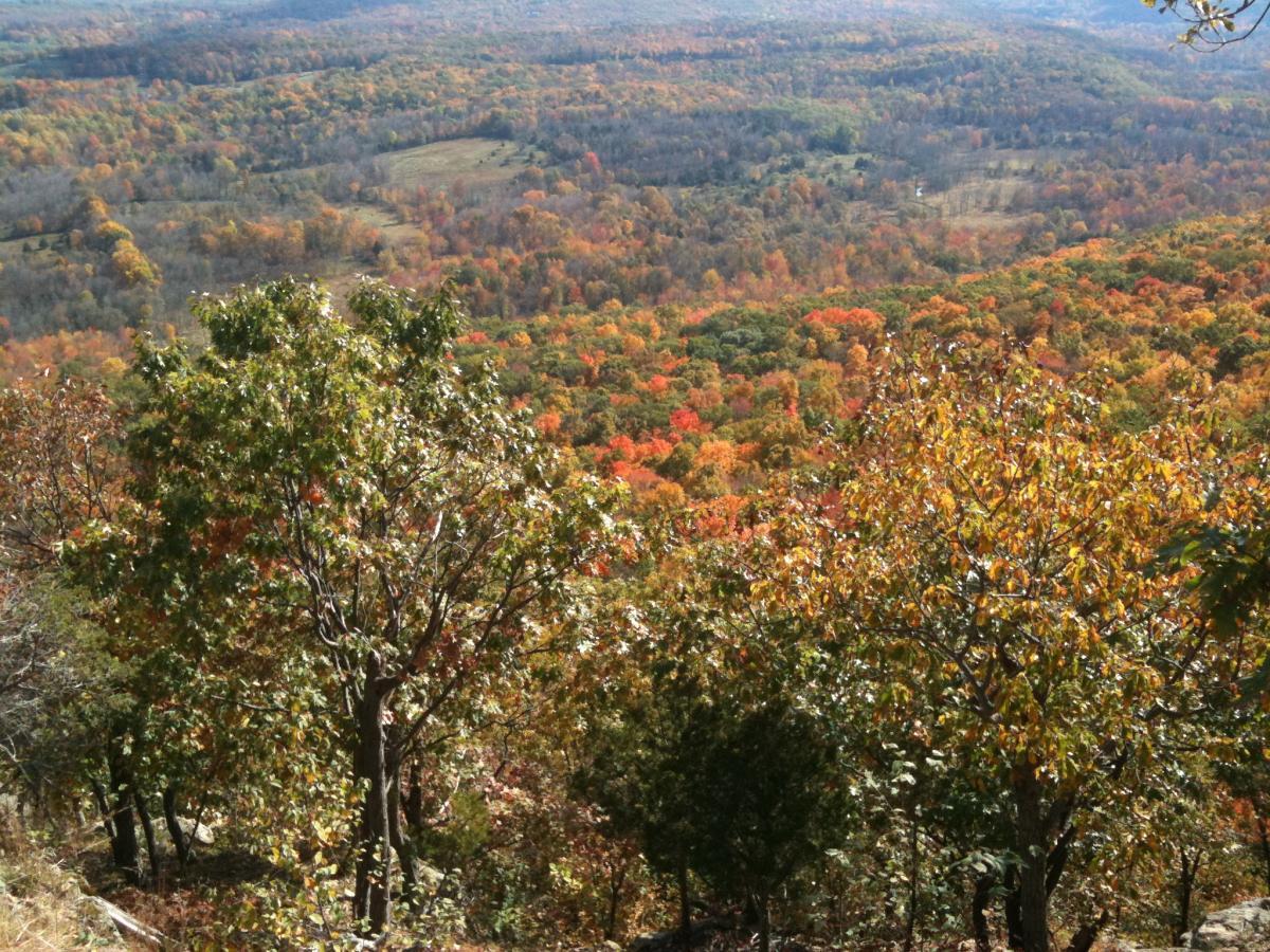 A scenic view of a mountain landscape displaying vibrant autumn foliage, featuring a mix of green, orange, red, and yellow trees. The foreground includes several trees, while the background showcases rolling hills covered in colorful fall leaves under a clear blue sky. Highlands Trail mountain bike trail.