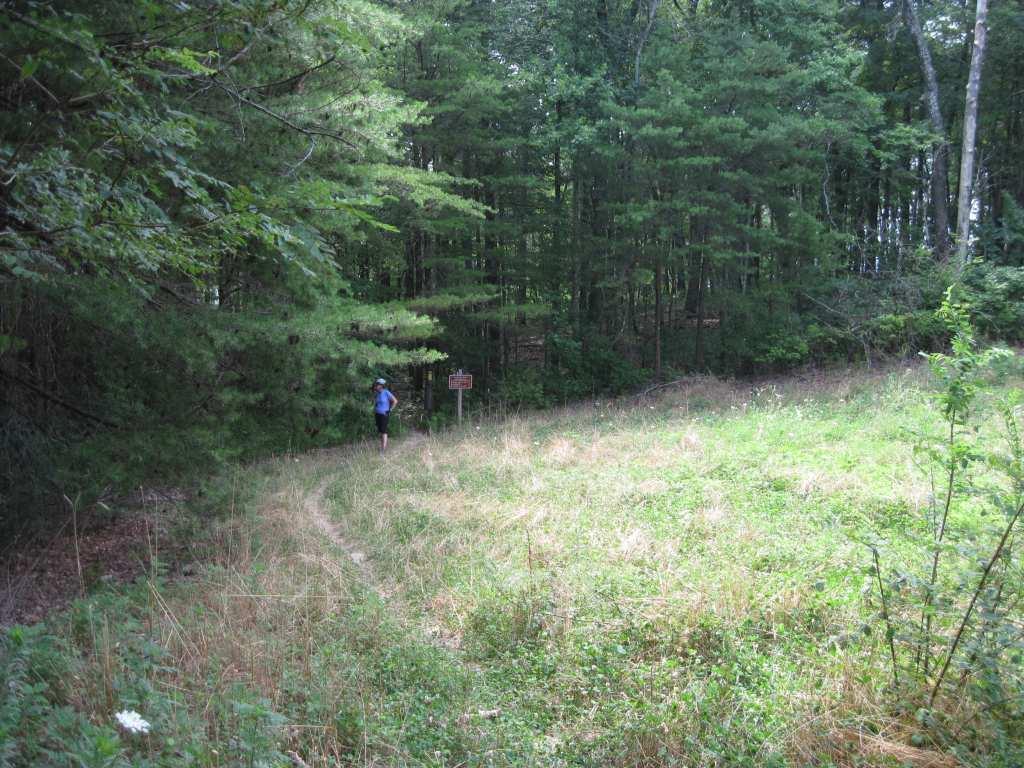 A person standing on a trail in a wooded area, looking toward a sign partially obscured by trees. The path is surrounded by tall grass and a mix of green foliage, indicating a serene nature environment. Chilhowee trail system mountain bike trail.
