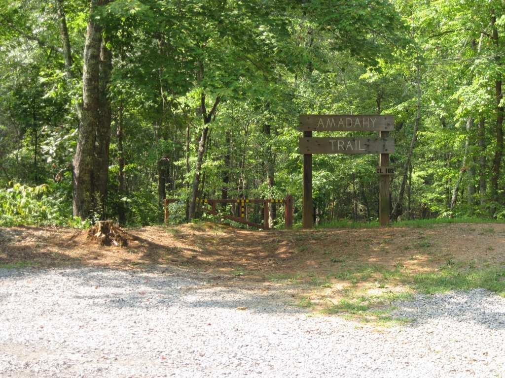 A wooden sign marking the entrance to the Amadahy Trail, surrounded by lush green trees and undergrowth. The foreground features a gravel path leading up to the sign, which includes the trail name and a reference number, indicating the start of a nature trail in a forested area. Woodring Branch mountain bike trail.