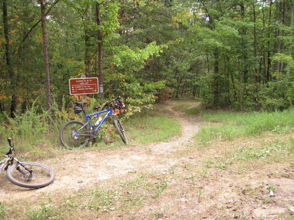A forested path with a brown informational sign and two mountain bikes parked nearby. The area is surrounded by green trees and underbrush, indicating a natural outdoor setting. Chilhowee trail system mountain bike trail.
