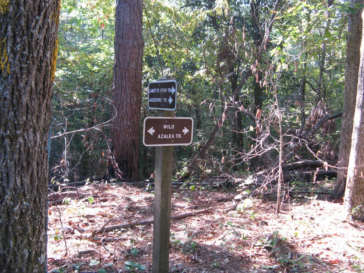 A wooden trail sign in a forest, indicating directions for "Lamotte Spur Trail," "Lakeshore Trail," and "Wild Azalea Trail," surrounded by trees and underbrush. Wild Azalea Trail mountain bike trail.