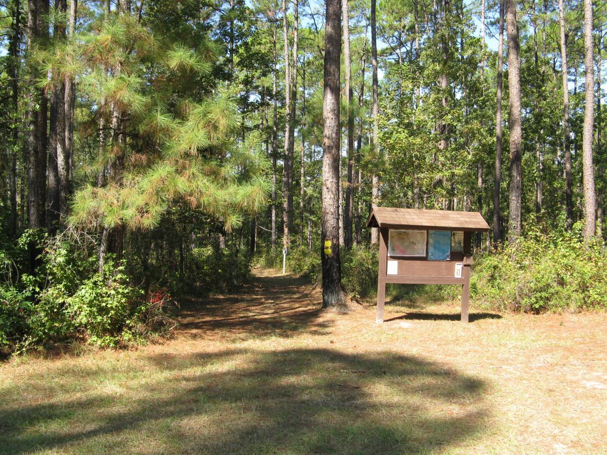 A forested path leading into a wooded area, with a wooden information kiosk on the right displaying maps and trail information. Surrounding trees are tall and green, and the ground is covered with grass and scattered foliage. Wild Azalea Trail mountain bike trail.