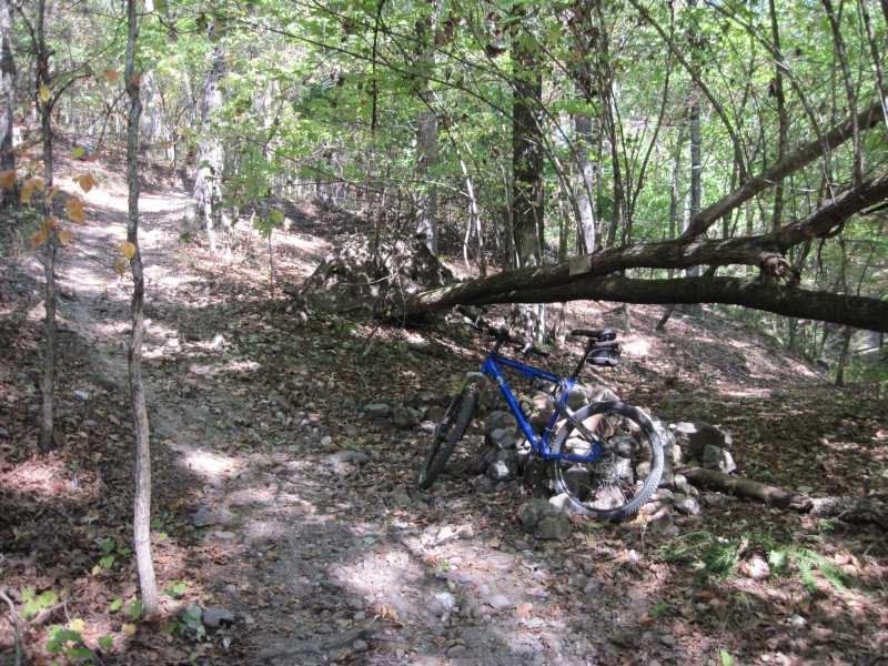 A blue mountain bike leaning against a rock formation on a wooded trail, surrounded by trees and fallen leaves, with sunlight filtering through the canopy. Lovit: Section 2 mountain bike trail.