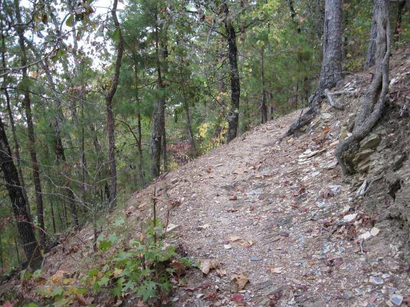 A narrow dirt path winding through a forest, surrounded by tall trees and scattered autumn leaves on the ground. The trail is slightly elevated on one side, indicating a sloped terrain. Womble mountain bike trail.