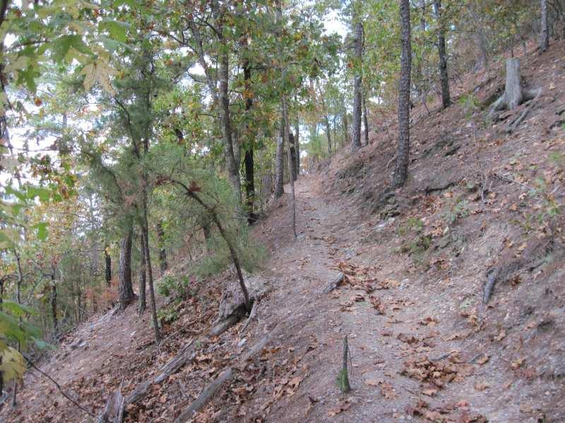 A winding dirt trail surrounded by trees, with fallen leaves scattered along the path and a slight incline leading into a forested area. Womble mountain bike trail.