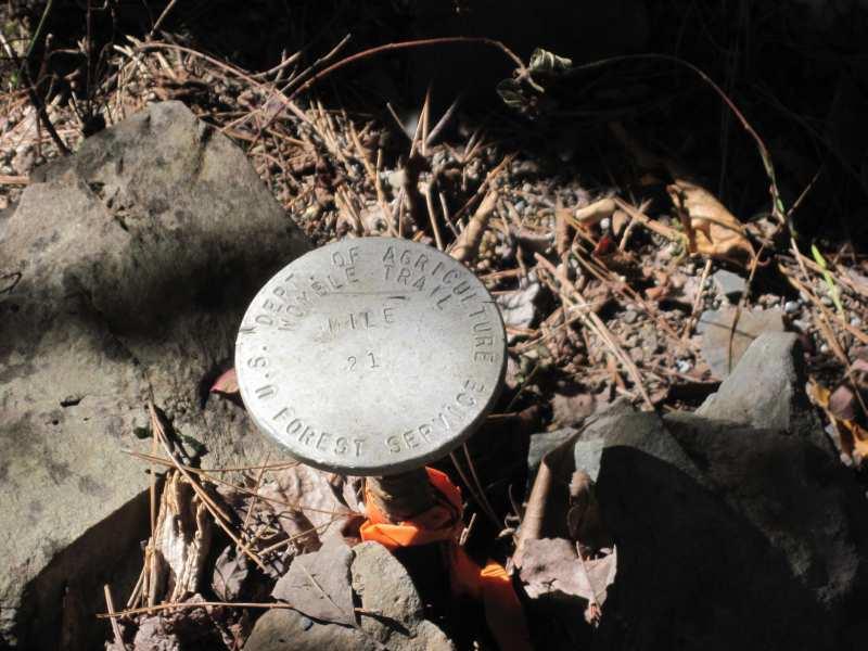 Survey marker on the ground labeled “USDA Forest Service” indicating mile 21 of a trail, surrounded by rocks and foliage. Womble mountain bike trail.