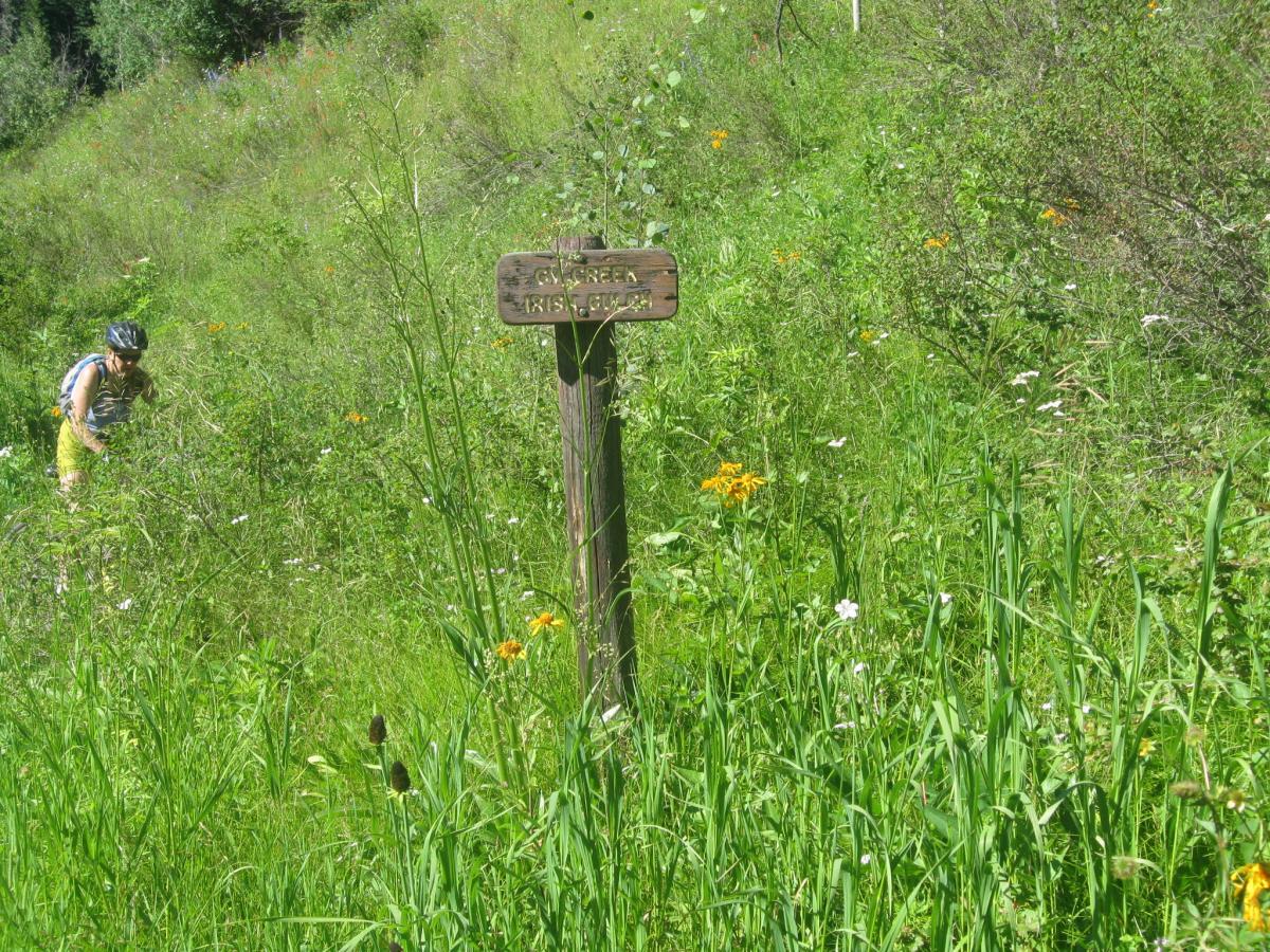 A wooden trail sign reading "Green Iris Trail" stands amidst a lush, green landscape, dotted with wildflowers. In the background, a person wearing a helmet and casual clothing is seen gathering vegetation or exploring the area. The scene captures a vibrant natural setting during daylight hours. Three Forks Trail mountain bike trail.