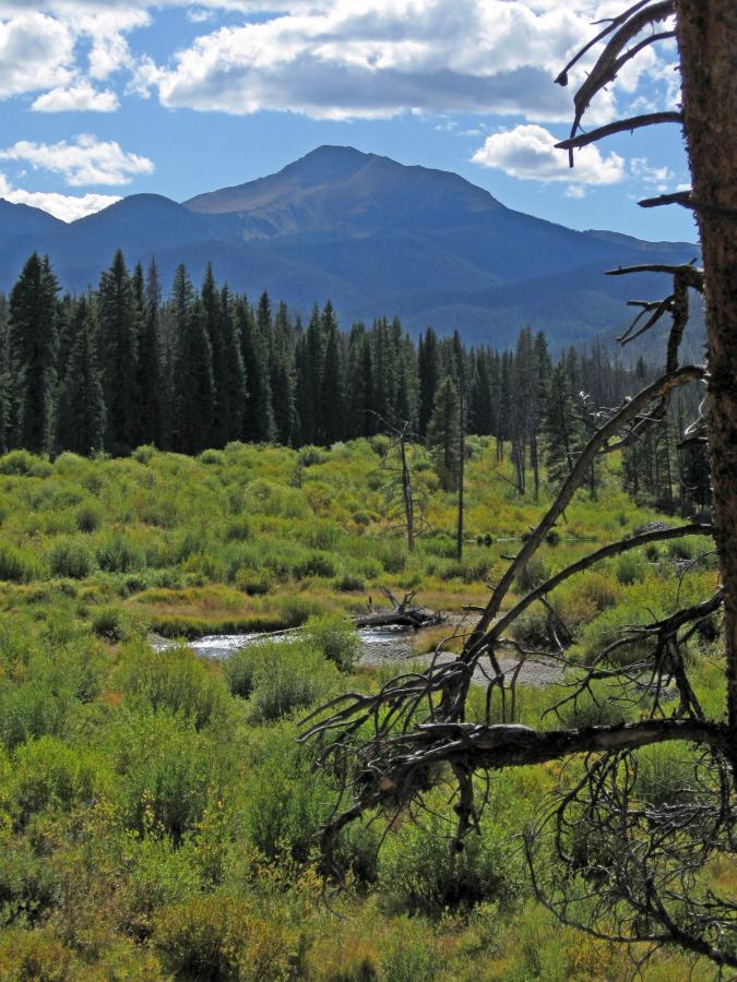 A scenic landscape featuring a mountain in the background, surrounded by dense evergreen forests and lush green vegetation. A stream meanders through the foreground, reflecting the blue sky with fluffy white clouds overhead. Dead tree branches frame the scene, adding depth to the natural setting. Tipperary Creek Loop mountain bike trail.