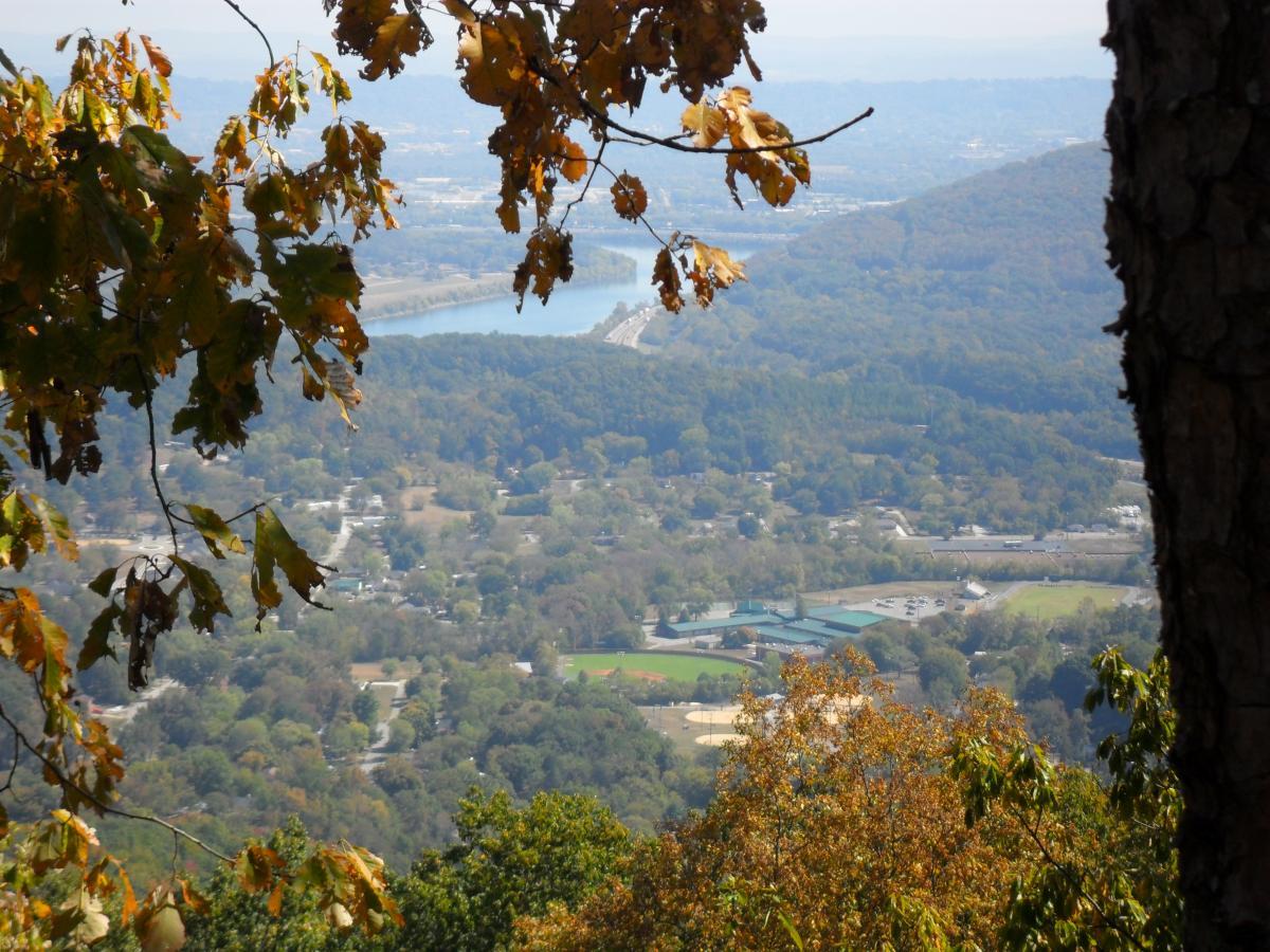 A scenic view from a hilltop overlooking a valley filled with trees and buildings, with a river winding through the landscape. The foreground features bright autumn leaves, adding vibrant color to the scene. Raccoon Mountain Trail Network mountain bike trail.