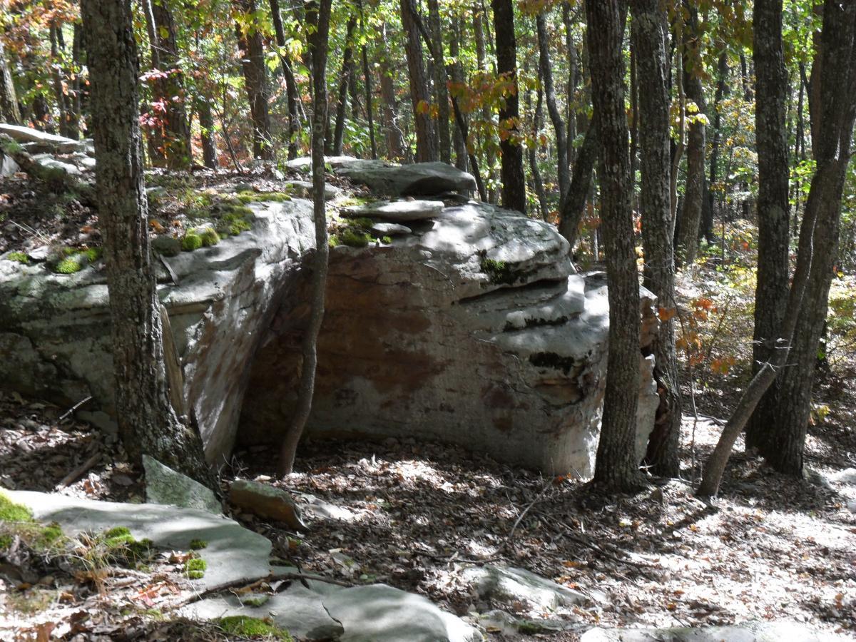 A large, weathered rock formation covered with moss is surrounded by trees in a forested area. Sunlight filters through the leaves, illuminating the earthy tones of the rock and the forest floor, which is scattered with fallen leaves. Raccoon Mountain Trail Network mountain bike trail.