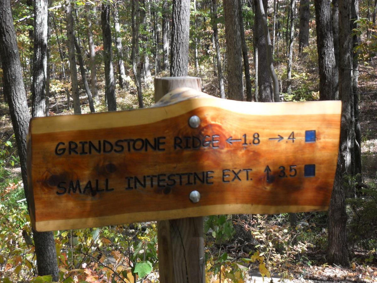 Wooden trail sign with directions for Grindstone Ridge and Small Intestine Extension, displaying distances in miles. Surrounded by trees in a forested area with autumn foliage. Raccoon Mountain Trail Network mountain bike trail.