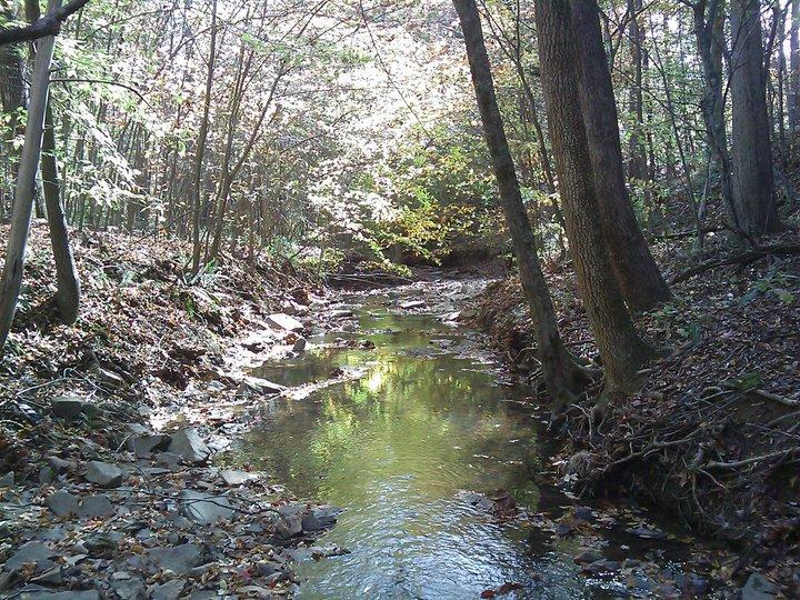 A serene scene of a small creek flowing through a forest. The water reflects the sunlight filtering through the trees, which display a mix of green leaves and hints of autumn colors. The creek is lined with rocks and surrounded by fallen leaves on the forest floor, creating a peaceful, natural setting. Angler's Ridge mountain bike trail.