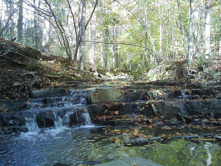 A serene forest scene featuring a gentle stream cascading over rocky steps. The water glistens in the sunlight, surrounded by vibrant green trees and fallen leaves, creating a tranquil natural setting. Angler's Ridge mountain bike trail.