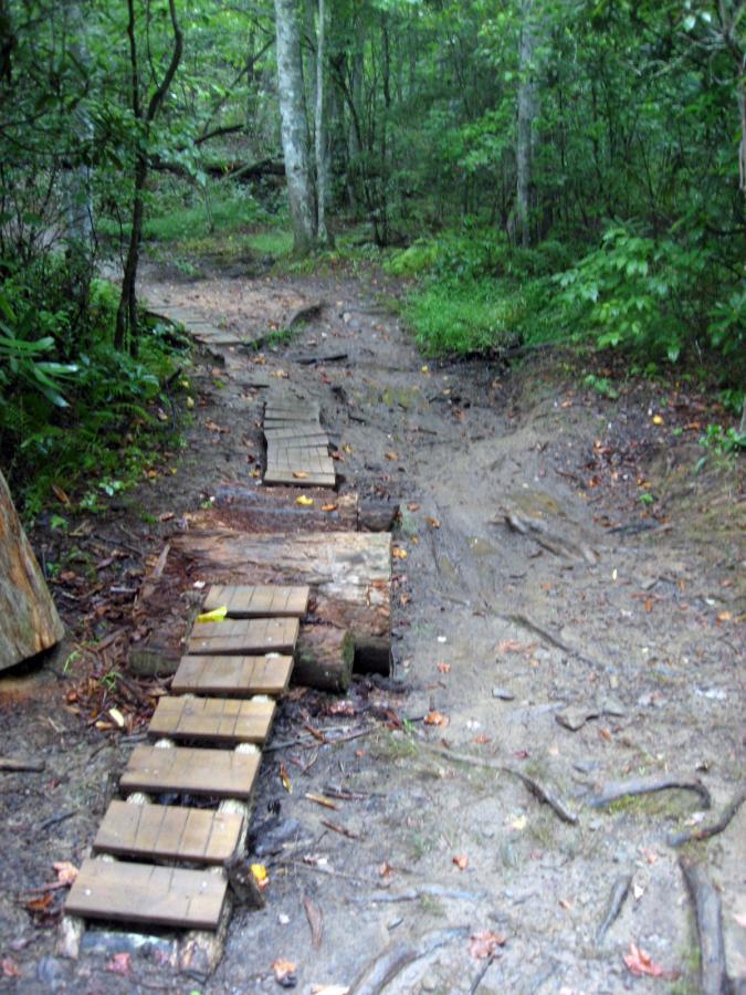 A narrow footpath in a lush forest, featuring a small wooden bridge made of planks laid across muddy ground. The surrounding area is green with trees and plants, indicating a natural woodland environment. Tsali Recreation Area mountain bike trail.