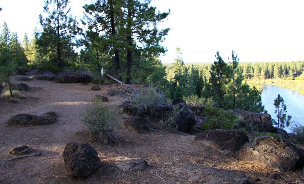 A dirt path winding through a forested area, flanked by large boulders and shrubs. In the background, a river can be seen flowing alongside a tree-lined bank, with tall pine trees rising around the scene under a clear sky. Deschutes River mountain bike trail.