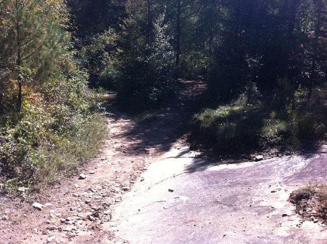 A sunlit, winding dirt trail surrounded by lush greenery and trees, leading through a wooded area. The path is partially rocky and includes a smooth, sloped section. DuPont State Forest mountain bike trail.