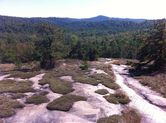 A scenic view of rolling hills covered in dense green forests, taken from a rocky, elevated terrain. The foreground features a smooth, gray rock surface interspersed with patches of grass and small shrubs, while the background showcases a vast landscape of trees and distant mountains under a clear blue sky. DuPont State Forest mountain bike trail.