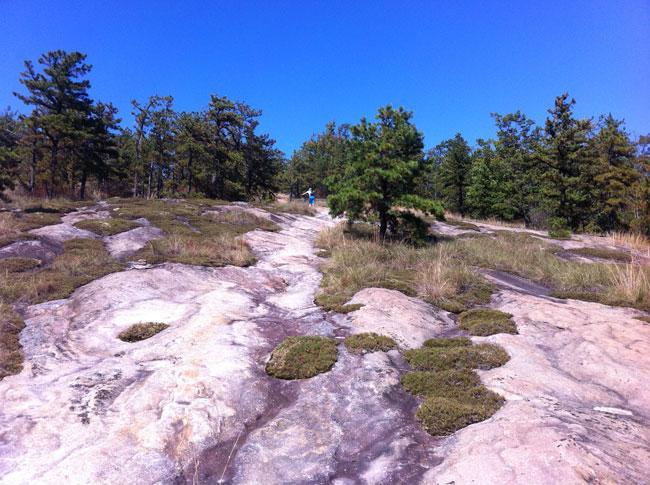 A rocky path leading up a slope, surrounded by sparse vegetation and pine trees under a clear blue sky. A person is visible in the distance, walking along the trail. DuPont State Recreational Forest mountain bike trail.