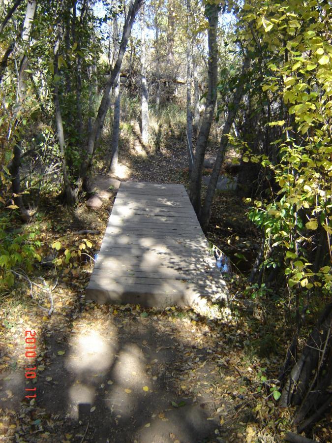 A wooden bridge crossing over a small stream, surrounded by trees with green and yellow leaves. The ground is covered with fallen leaves, and sunlight filters through the foliage, creating dappled shadows. Falcon Trail mountain bike trail.