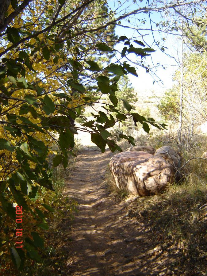 A narrow dirt path winds through a wooded area, flanked by green and yellow leaves. A large rock sits partially in the path, surrounded by grass and shrubs, with sunlight filtering through the trees. Falcon Trail mountain bike trail.