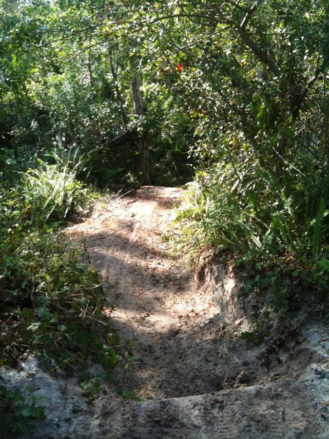 A dirt trail winding through a lush, green forest, surrounded by dense foliage and small plants. Sunlight filters through the leaves, casting dappled light on the path. The trail appears sandy and slightly worn, leading deeper into the woods. Okeeheelee Park / Pinehurst / Green Acres Freedom Park mountain bike trail.