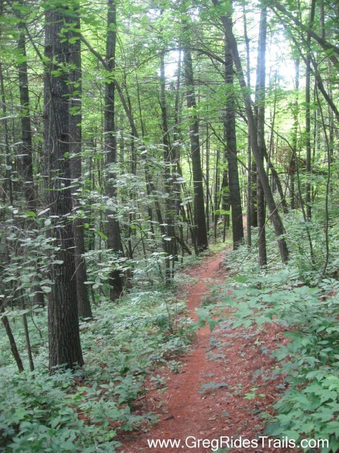 A narrow, winding dirt path cuts through a dense forest filled with tall trees and lush green foliage. Sunlight filters softly through the leaves, creating a serene and peaceful atmosphere in the woods. Stonewall Falls Loop mountain bike trail.