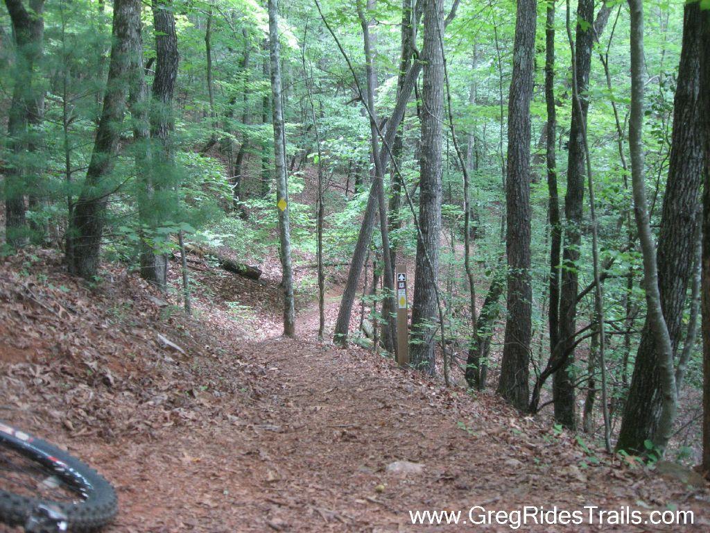 A dirt path going through a lush green forest, surrounded by tall trees and undergrowth. A trail marker is visible on the side of the path, indicating the direction, while fallen leaves cover the ground. A portion of a mountain bike is visible in the foreground. Stonewall Falls Loop mountain bike trail.